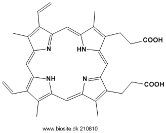 Strukturen af protoporphyrin