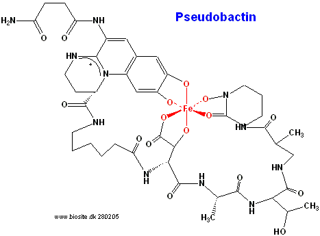 Strukturen af siderophoren pseudobactin