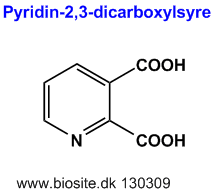 Strukturen af pyridin-2,3-dicarboxylsyre