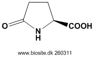 Strukturen af L-pyroglutaminsyre