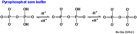Pyrophosphationen som buffer