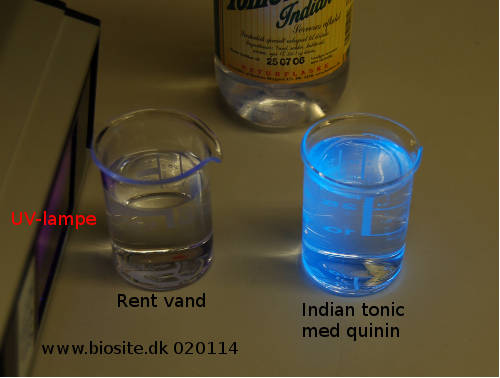 Fluorescens af indian tonic med quinin