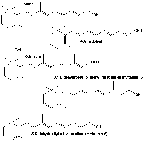 Den kemiske struktur af forskellige vitamin A typer