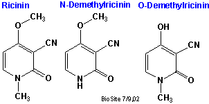 De kemiske strukturer af ricinin, O-demethylricinin og N-demethylricinin
