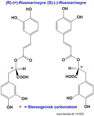 Strukturerne af de to R- og S- isomerer af rosmarinsyre