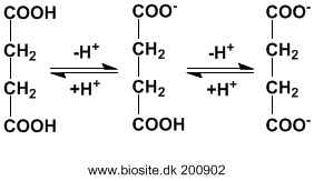 Den kemiske struktur af butandisyre (succinat)