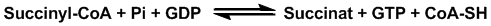 Succinyl-CoA syntetase katalyserer reaktionen