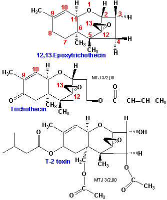 Den kemiske struktur af T2 toxinerne