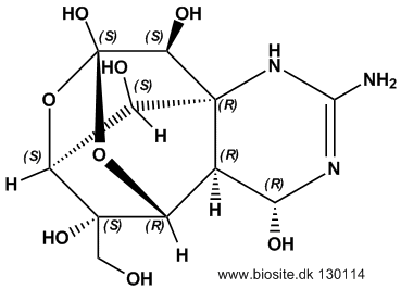 Strukturen af tetrodotoxin