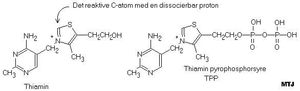 Den kemiske struktur af thiamin