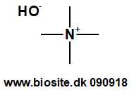 Strukturen af tetramethylammoniumhydroxid