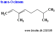 Strukturen af trans-Ocimen