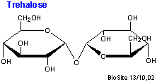 Strukturen af disaccharidet trehalose