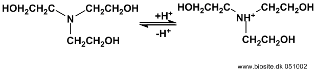 Den kemiske struktur af bufferen triethanolamin