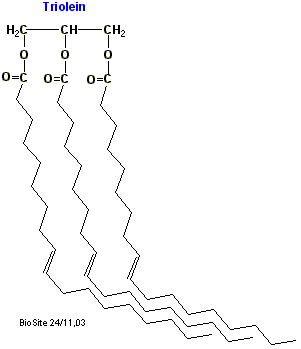 Strukturen af triglyceridet triolein