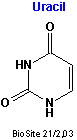 Strukturen af uracil