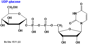 Strukturen af uridin diphosphat glucosen