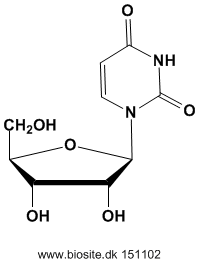 Strukturen af uridin