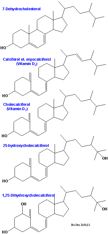 De kemiske strukturer af forskellige vitamin D former