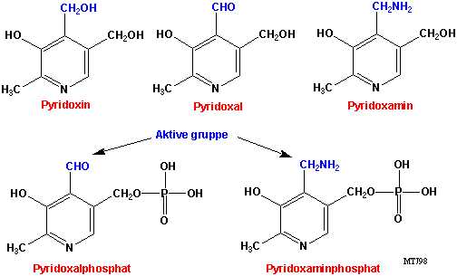 Den kemiske struktur af forskellige vitamin B6 former