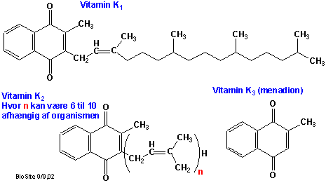 De kemiske strukturer af vitamin K1, vitamin K2 og vitamin K3 (menadion)
