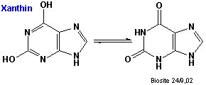 Den kemiske struktur af xanthin (keton- og alkoholformen)