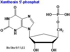 Strukturen af xanthosin 5'-phosphat