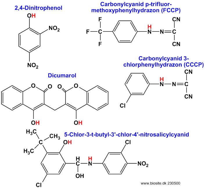 Den kemiske struktur af forskellige afkoblere
