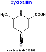 Strukturen af cycloalliin