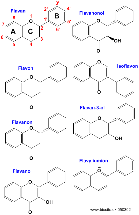 Den kemiske struktur af udvalgte flavonoider