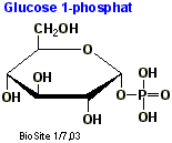 Strukturen af glucose 1-phosphat