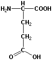 Strukturen af aminosyren glutaminsyre