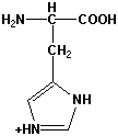 Strukturen af aminosyren histidin