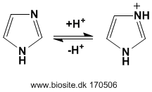 Imidazol som buffer