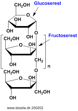 Struktuenr af oligosaccharidet inulin