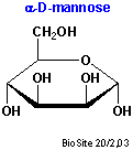 Strukturen af monosaccharidet mannan