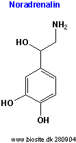 Strukturen af noradrenalin