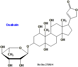 Strukturen af ouabain