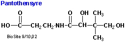 Strukturen af pantothensyre