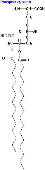 Den kemiske struktur af phosphatidylserin
