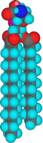 Tredimensional struktur af phosphatidylserin