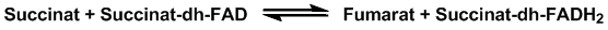Succinatdehydrogenase reaktionen