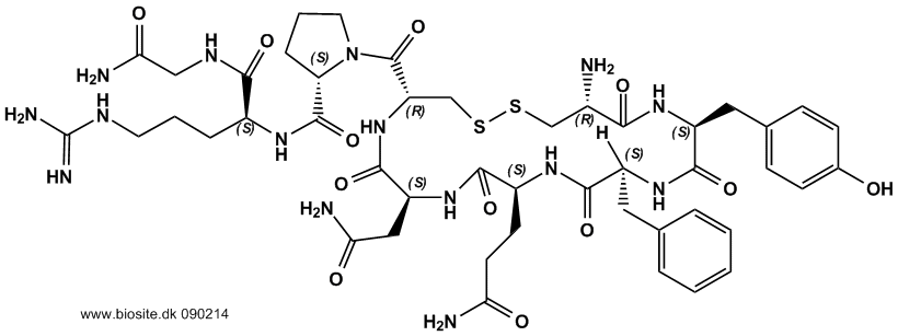 Strukturen af vasopressin